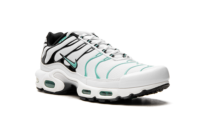 Nike Air Max Plus Atmos