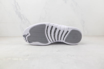 Jordan 12 invisibile 