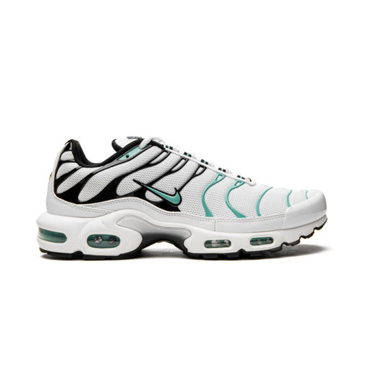 Nike Air Max Plus Atmos