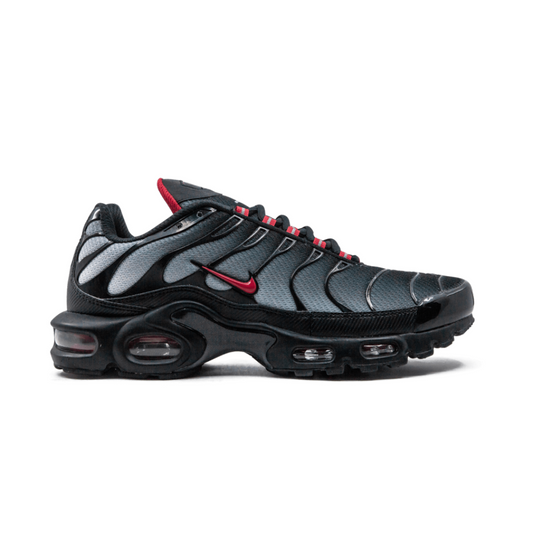 Nike Air Max Plus Blue and Red