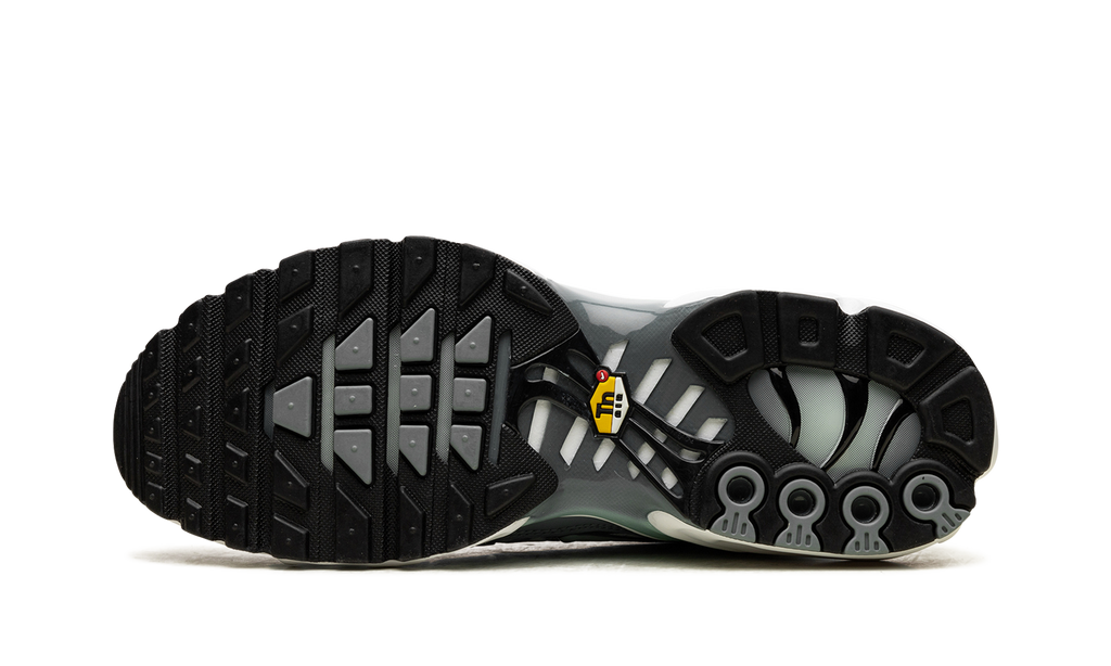 Nike Air Max Plus Waterway