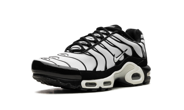Nike Air Max Plus Oreo