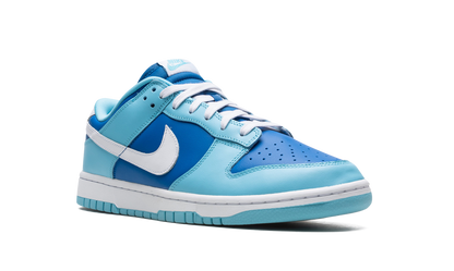 Nike Dunk Low Retro Argon